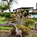 Boutique Hotel Ileas Village * Arkoudi
