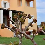 Boutique Hotel Ileas Village Apartment