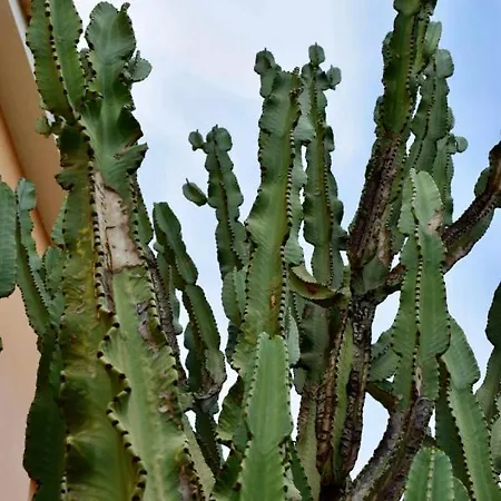 Boutique Hotel Ileas Village