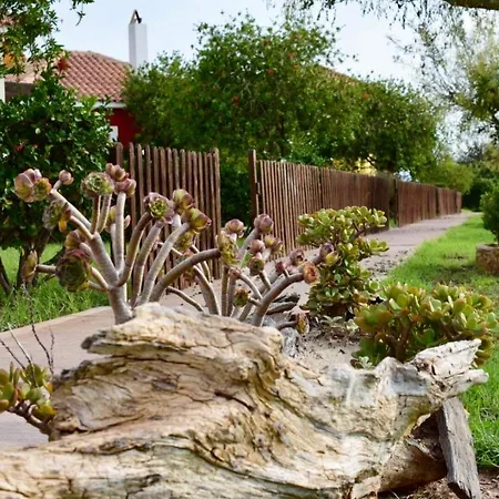 Boutique Ileas Village Αρκούδι