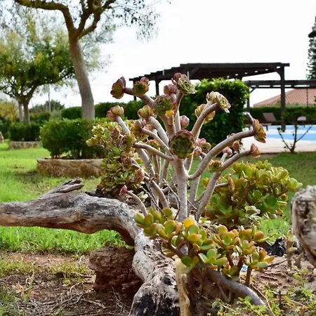 Boutique Ileas Village * Arkúdi