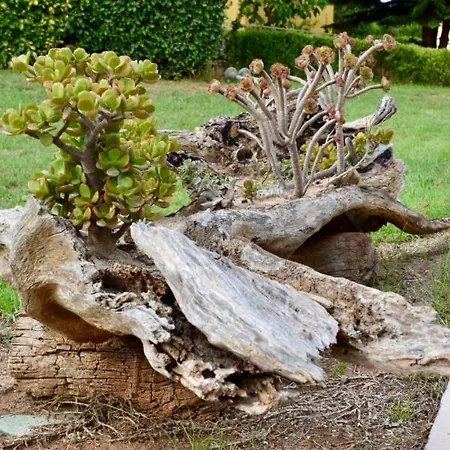 Boutique Ileas Village