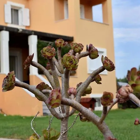 Boutique Ileas Village Lejlighed
