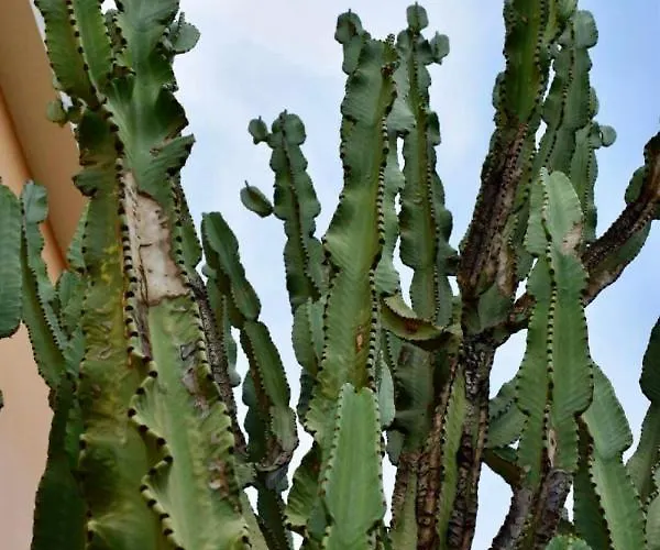 Boutique Ileas Village