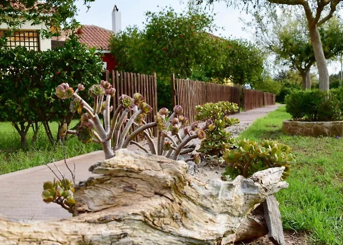 Boutique Ileas Village Arkúdi