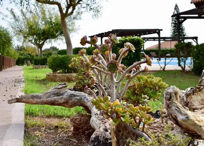 Boutique Ileas Village * Arkúdi