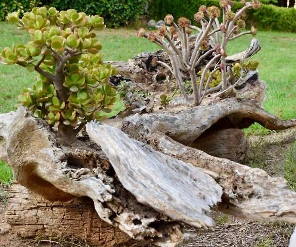 Boutique Ileas Village