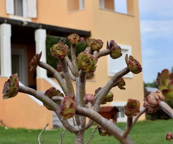 Boutique Ileas Village Daire